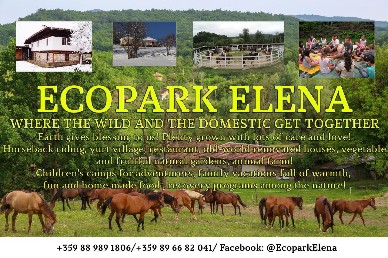 Hotel Ecopark Elena Exteriér fotografie