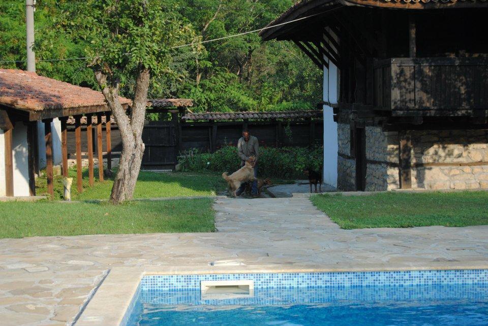 Hotel Ecopark Elena Exteriér fotografie