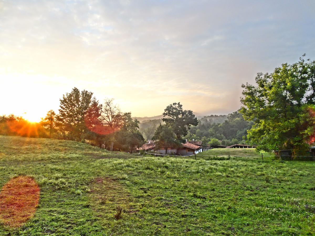 Hotel Ecopark Elena Exteriér fotografie