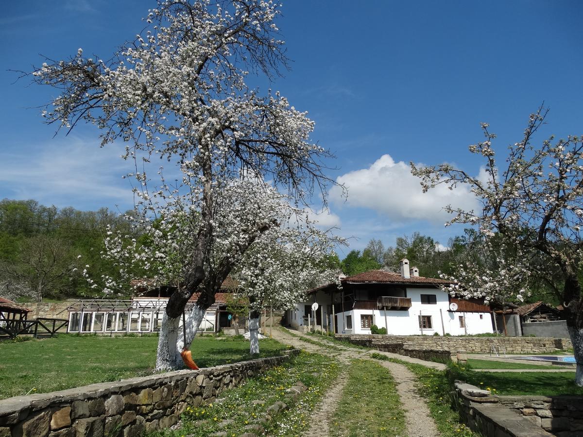 Hotel Ecopark Elena Exteriér fotografie