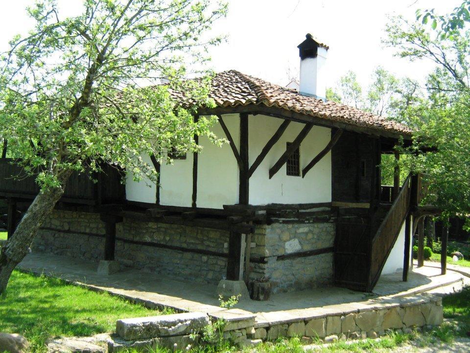 Hotel Ecopark Elena Exteriér fotografie