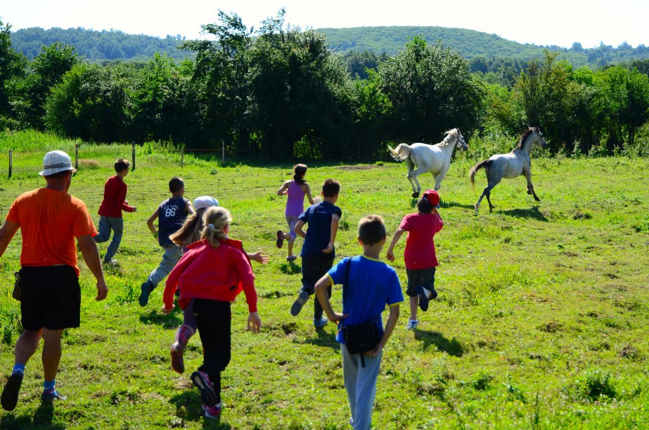 Hotel Ecopark Elena Exteriér fotografie