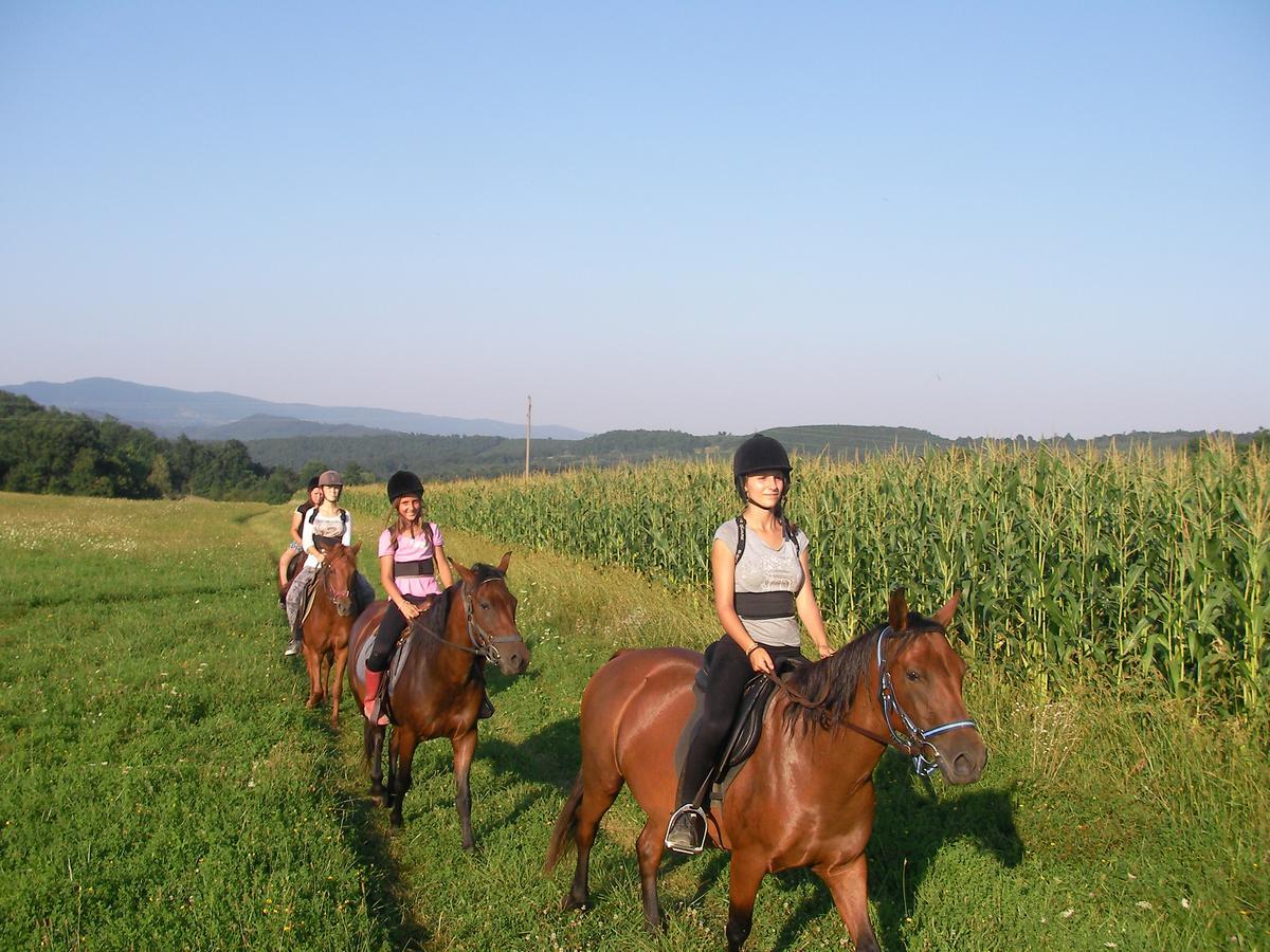 Hotel Ecopark Elena Exteriér fotografie