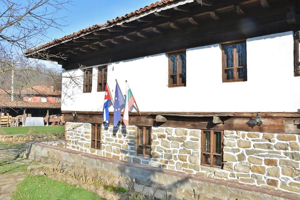 Hotel Ecopark Elena Exteriér fotografie